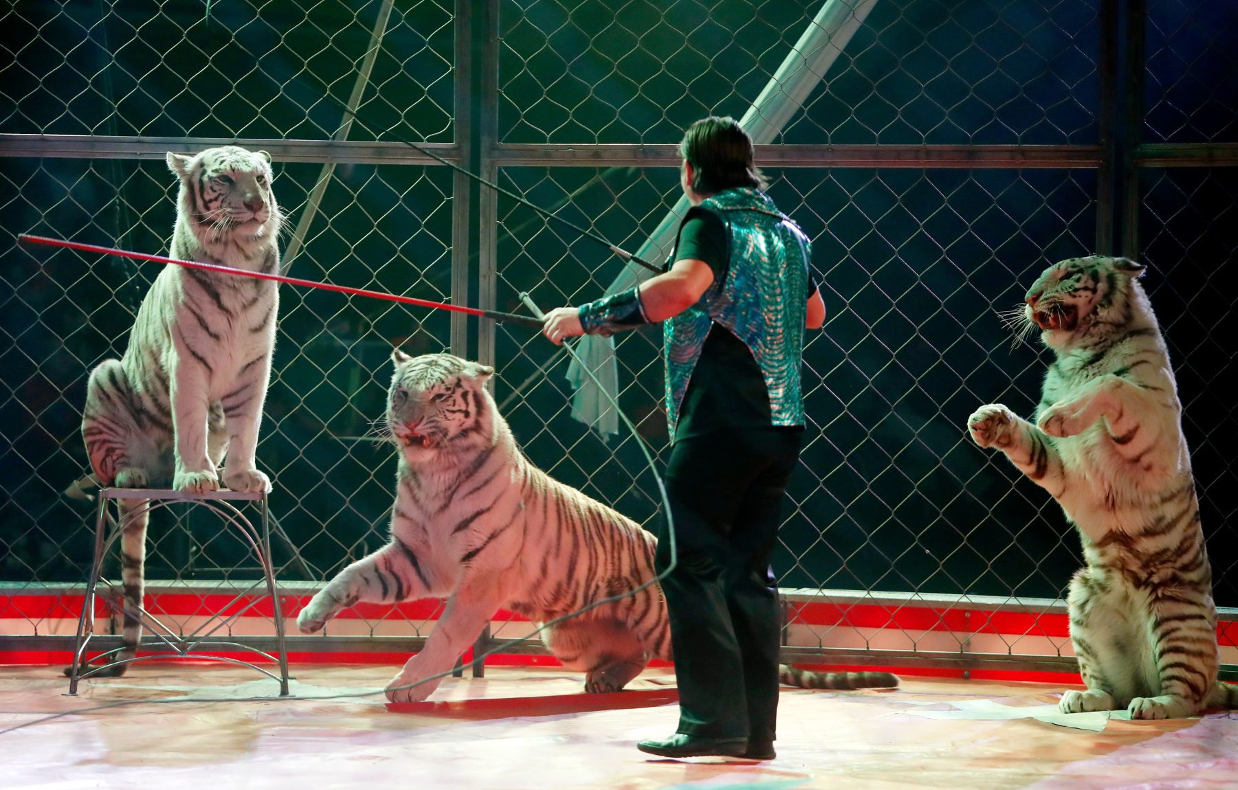 Al Bedoo Shrine Circus